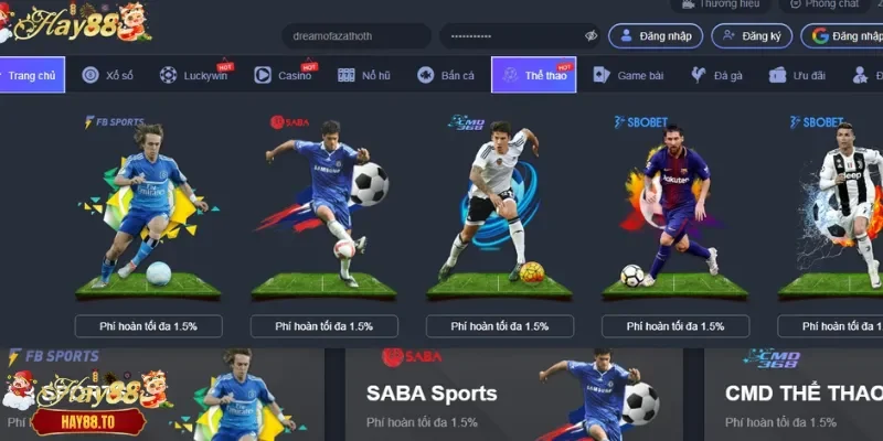 Giải nghĩa link vào Hay88