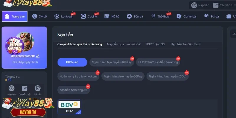 Khái quát hệ thống nạp tiền Hay88