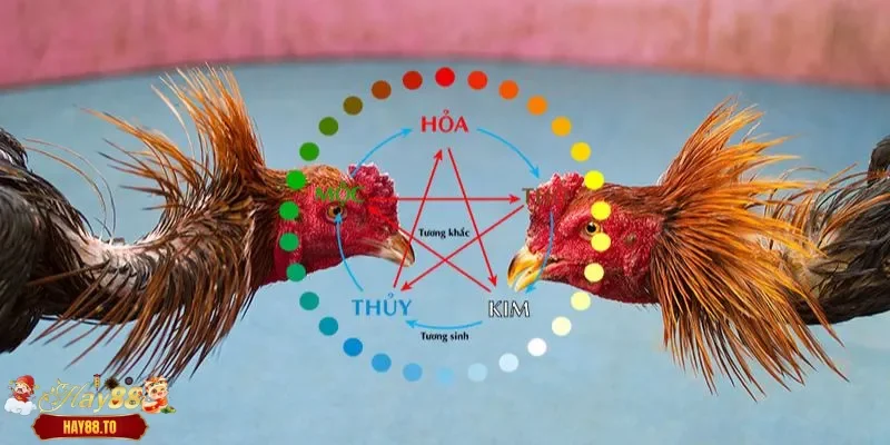 Lưu ý khi xem màu mạng