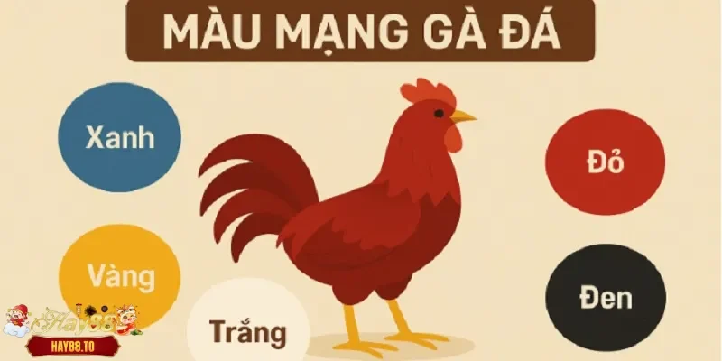 Sơ lược màu mạng gà đá Hay88