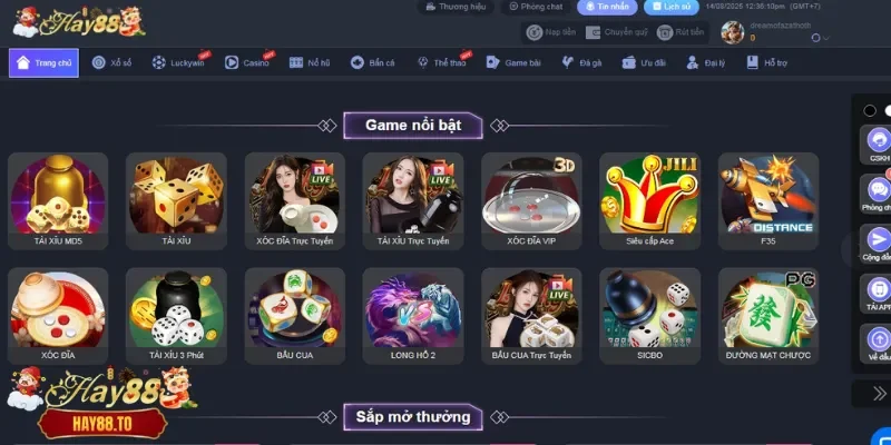 Thiết kế sân chơi bắt mắt