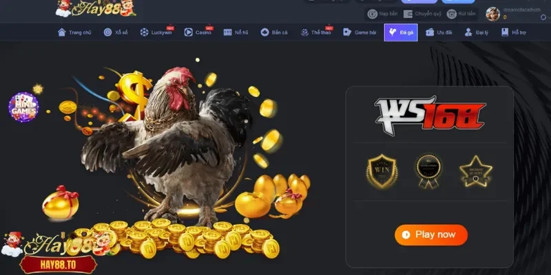 Tìm hiểu chi tiết sảnh đá gà Hay88