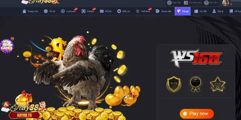 Tìm hiểu tỷ lệ cược đá gà tại Hay88