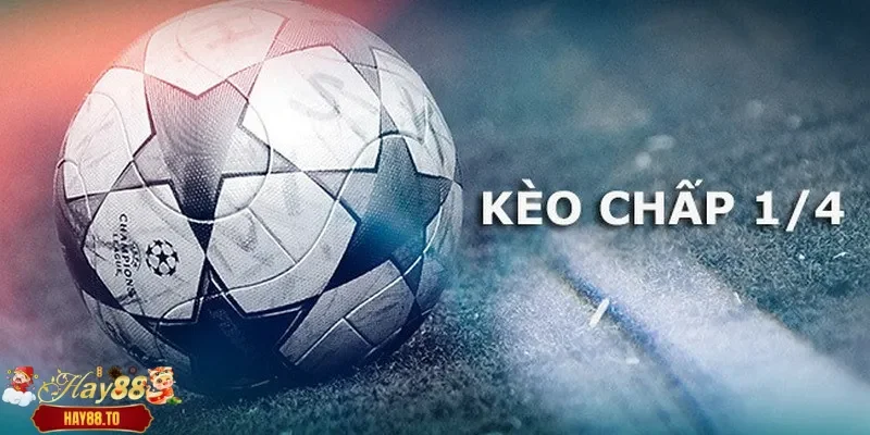 Tỷ lệ đồng banh một nửa