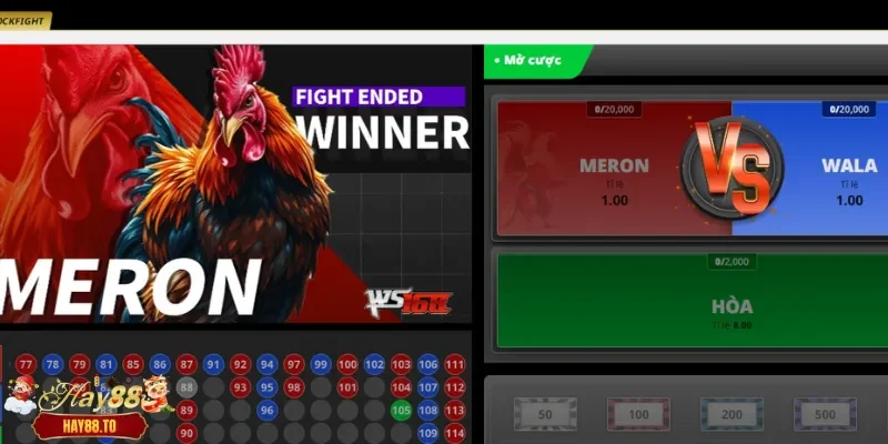 Tỷ lệ kèo Meron hấp dẫn